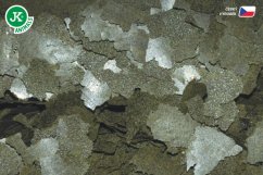 Dajana Spirulina & Chlorella Flakes, vločky – krmivo, 100 ml