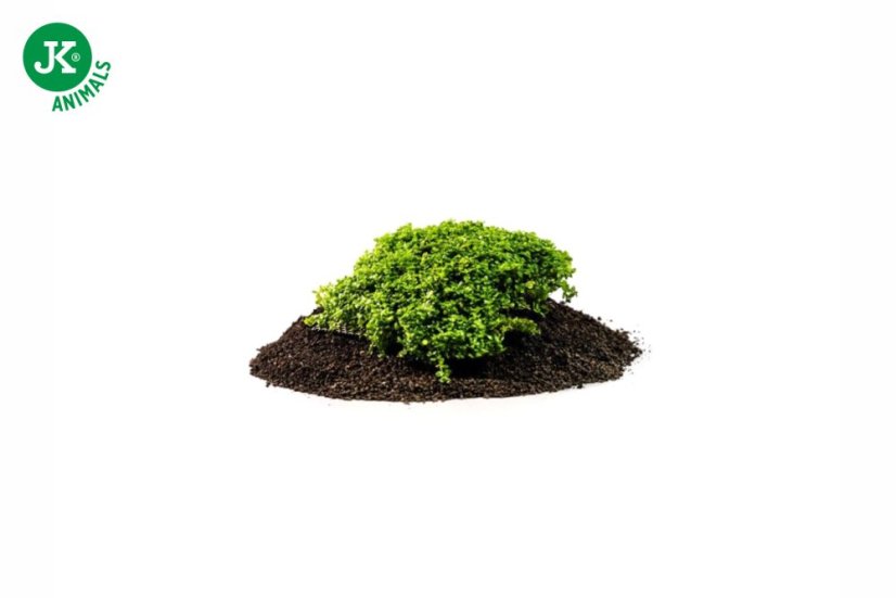 Akvarijný substrát Volcano Black Powder Rataj, čierny, 8 l