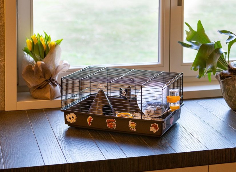 Ferplast CRICETI 9 PIRATES klietka pre škrečky 46 x 29,5 x 23 cm