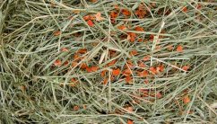 JK Prírodné seno s mrkvou 0,5 kg