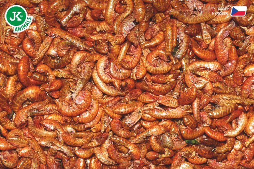 Dajana Gammarus 500 ml