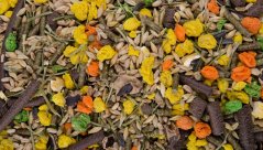 Zrniny a semienka, 1 kg, kompletné krmivo pre malé hlodavce