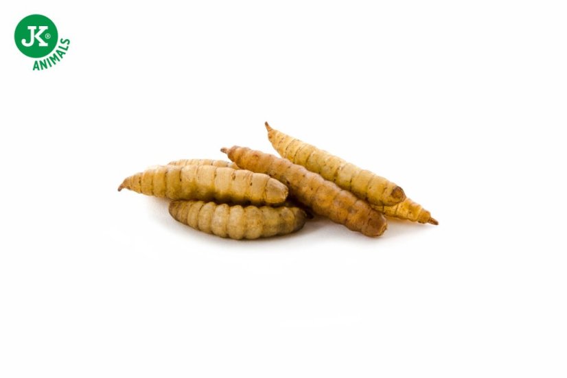 JK ANIMALS, sušená larva bránenky, 80 g