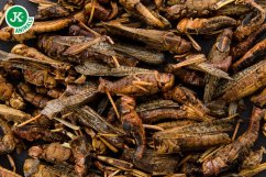 JK ANIMALS, sušené saranče, 80 g