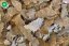 Dajana ISF Tropical Flakes, vločky,  4 kg – veľké balenie pre chovateľov