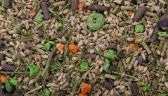 Zrniny a semienka, 1 kg, kompletné krmivo pre králiky