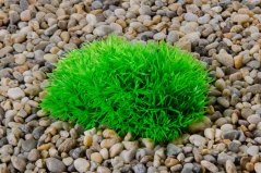 JK ANIMALS plastová rastlinka mach, 11 cm