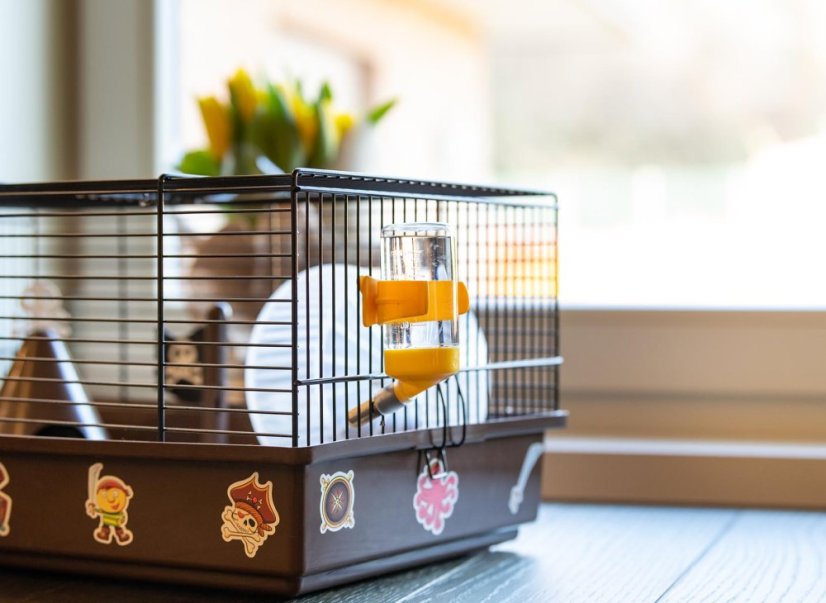 Ferplast CRICETI 9 PIRATES klietka pre škrečky 46 x 29,5 x 23 cm