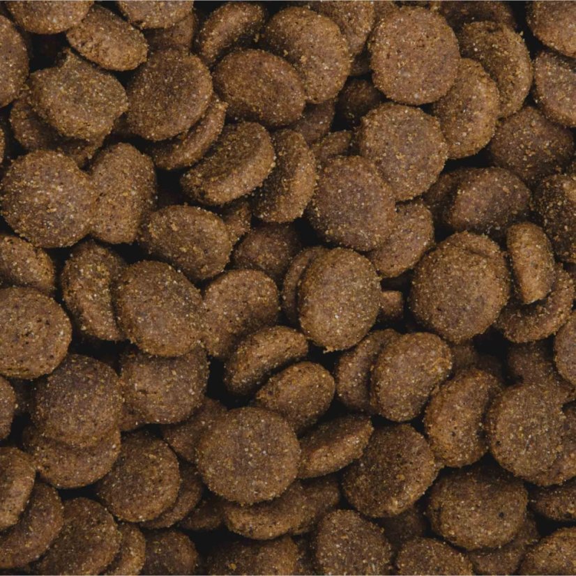 13 kg, Sam's Field Gluten Free Beef & Veal Adult Large, superprémiové granule, (Sams Field bez lepku)