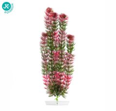 JK ANIMALS Akvarijná rastlina Red Anacharis cca 40 cm