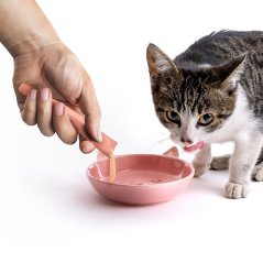 JK ANIMALS lososová krémová maškrta 5x15 g