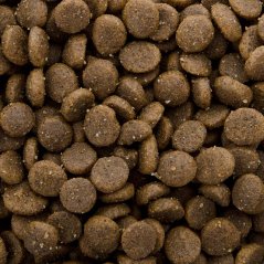 Sams Field Cat Adult Fish,superprémiové rybie granule 400 g (Sam's Field)