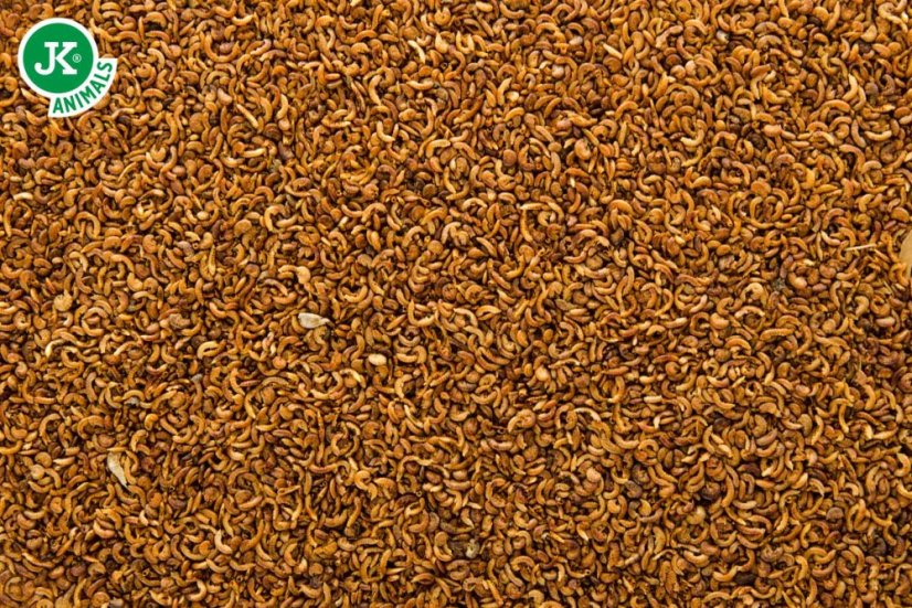 JK Gammarus Mini, 25 g, 100% Bio-prírodné krmivo