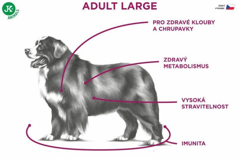13 kg, Sam's Field Low Grain Adult Large Chicken & Potato, superprémiové granule, (Sams Field bez pšenice)