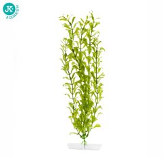 JK Akvarijná rastlina Hygrophila 38-43 cm