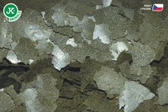 Dajana Spirulina & Chlorella Flakes, vločky – krmivo, 100 ml