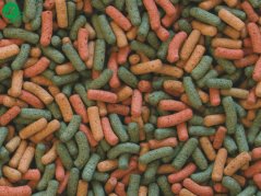 Tropical - Biorept W, 500 ml