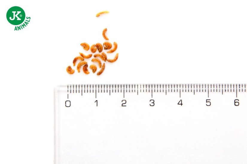 JK Gammarus Mini, 25 g, 100% Bio-prírodné krmivo