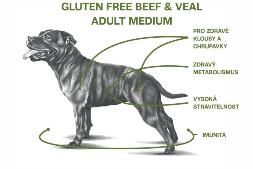 2,5 kg, Sam's Field Gluten Free Beef & Veal Adult Medium, superprémiové granule, (Sams Field bez lepku)