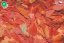 Dajana Colour Flakes, vločky – krmivo, 10 000 ml