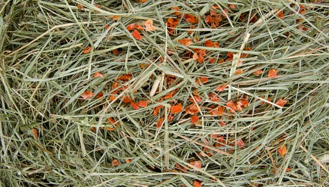 JK Prírodné seno s mrkvou 0,5 kg