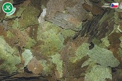 Dajana Flora Flakes, vločky, 4 kg – veľké balenie pre chovateľov