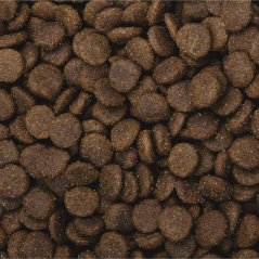 2,5 kg, Sam's Field Low Grain Adult Large Lamb - Free Range, superprémiove granule pre dospelých psov veľkých a obrích plemien s jahňacím z voľného chovu, (Sams Field bez pšenice)