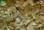 Dajana ISF Vegetable Flakes 1 000 ml vločky