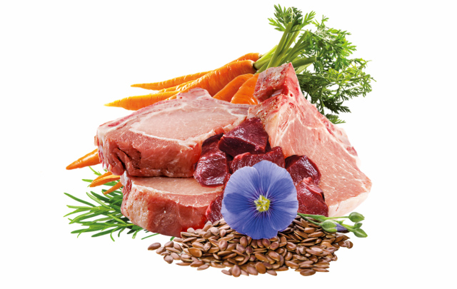 6× 400 g,Sam’s Field True Meat Pork Enriched with Carrot & Linseed Oil for Puppies, superprémiová konzerva,  (Sams Field)