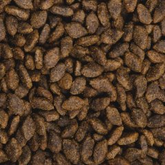 2,5 kg, Sam's Field Grain Free Beef (Angus), superprémiové granule pre dospelých psov všetkých veľkostí a plemien, (Sams Field bez obilnín)