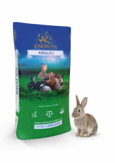 ENERGYS - Krmivo pre králiky, Králik gold forte, 25 kg