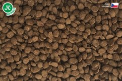 Dajana Turtle chips 1000 ml vodná korytnačka