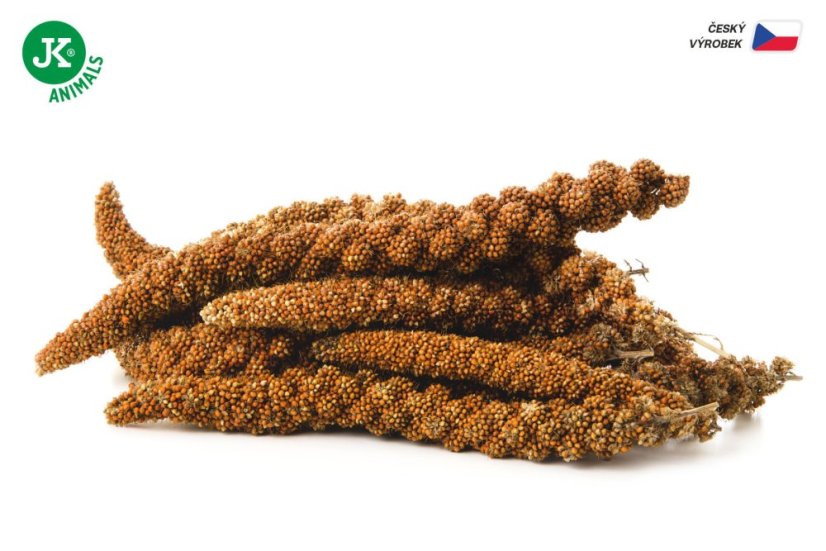 Senegalské proso v prírodnej podobe vo forme klasov 200 g