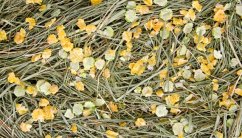 JK Prírodné seno s hrachom a kukuričnými lupienkami 0,5 kg