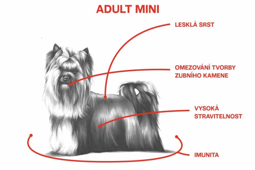 800 g, Sam's Field Low Grain Adult Mini Chicken & Potato, superprémiové granule, (Sams Field bez pšenice)