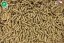 Dajana ISF Turtle Sticks, sticky – krmivo, 1 l (insect superfood)