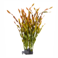 JK ANIMALS Vallisneria kameň, akvarijná plastová rastlinka, cca 33 cm