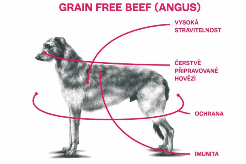 800 g, Sam's Field Grain Free Beef (Angus), superprémiové granule pre dospelých psov všetkých veľkostí a plemien, (Sams Field bez obilnín)