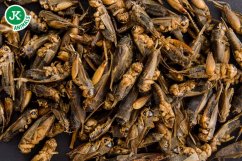 JK ANIMALS, sušený cvrčok, 80 g