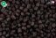 Dajana Pond sturio jeseter, granule pre jesetery 1000 ml