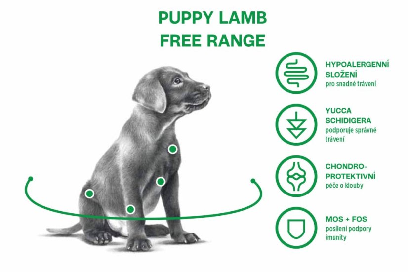 13 kg, Sam's Field Low Grain Puppy Lamb - Free Range, superprémiove granule pre šteňatá s jahňacím z voľného chovu, (Sams Field bez pšenice)