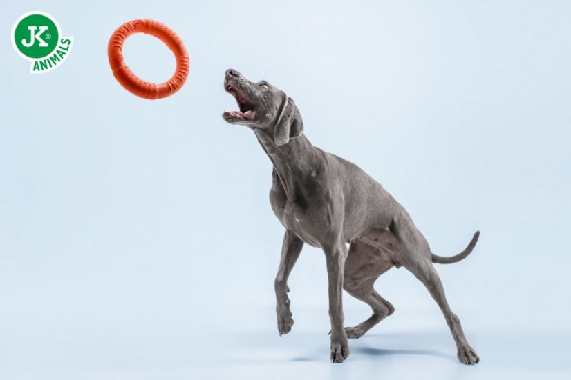 JK Magic Ring Frisbee z EVA peny, oranžový, 27 cm