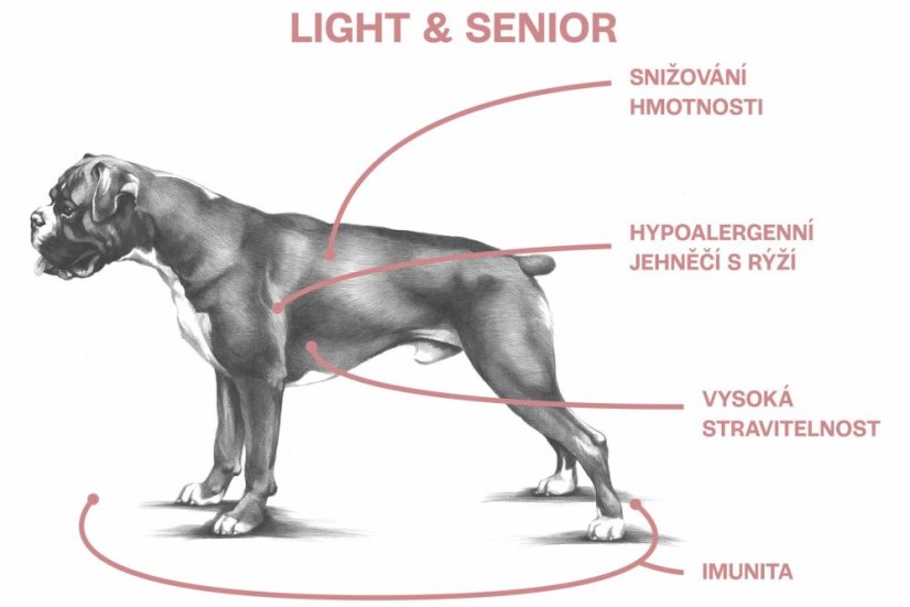 2,5 kg, Sam's Field Low Grain Light & Senior Lamb & Rice, superprémiové granule, (Sams Field bez pšenice)