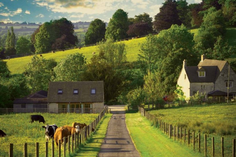 2,5 kg, Sam's Field Gluten Free Beef & Veal Junior Large, superprémiové granule pre šteňatá a mladé psy veľkých a obrích plemien, (Sams Field bez lepku)