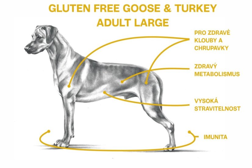 2,5 kg, Sam's Field Gluten Free Goose & Turkey Adult Large, superprémiové granule, (Sams Field bez lepku)