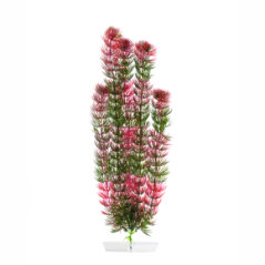 JK ANIMALS Akvarijná rastlina Red Anacharis cca 40 cm