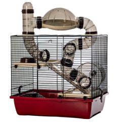 Inter Zoo Rocky Taras bordo 41 x 27 x 38 cm