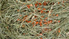 JK Prírodné seno s mrkvou 0,5 kg