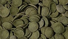 Tropical - Green Algae Wafers, 250 ml