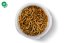 Sušené múčne červy JK Dried Mealworms, 80 g, (Tenebrio Molitor)